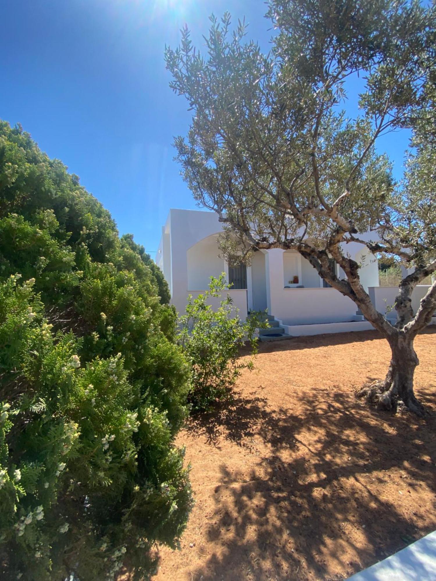 Okio - Μονοκατοικία Δίπλα Στη Θάλασσα Elafonissos Exterior photo